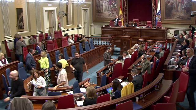 Pleno del Parlamento (continuación)