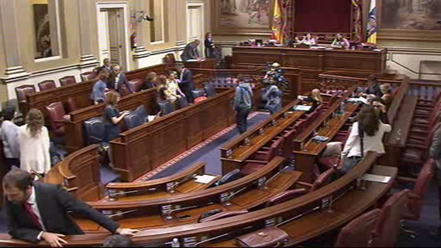 Pleno del Parlamento (continuación)