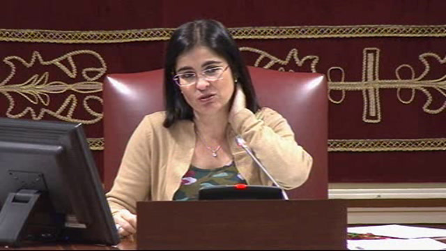 Pleno del Parlamento (continuación)