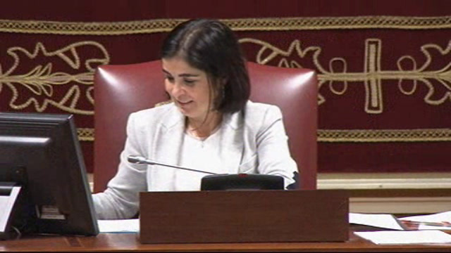 Pleno del Parlamento (continuación)