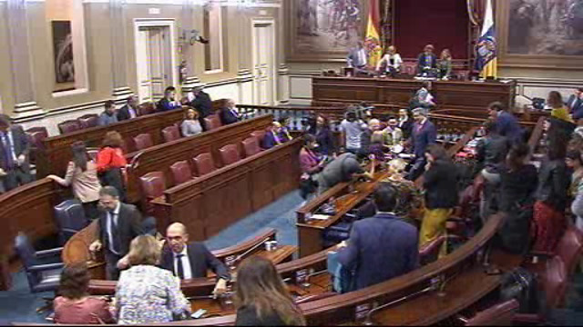 Pleno del Parlamento (continuación)