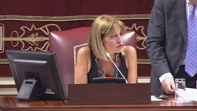 Pleno del Parlamento