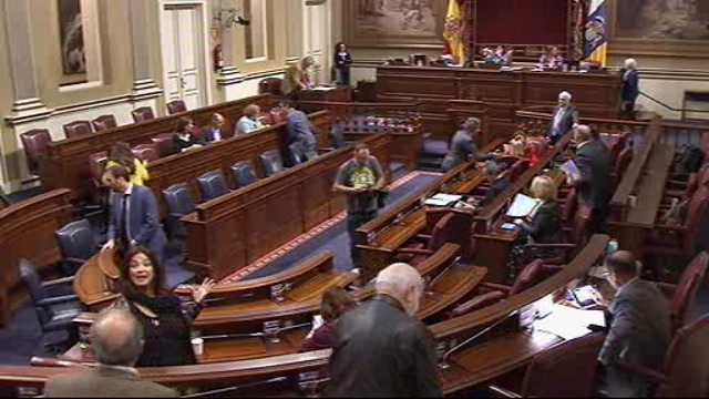 Pleno del Parlamento (continuación)