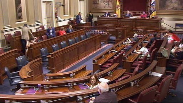 Pleno del Parlamento (continuación)