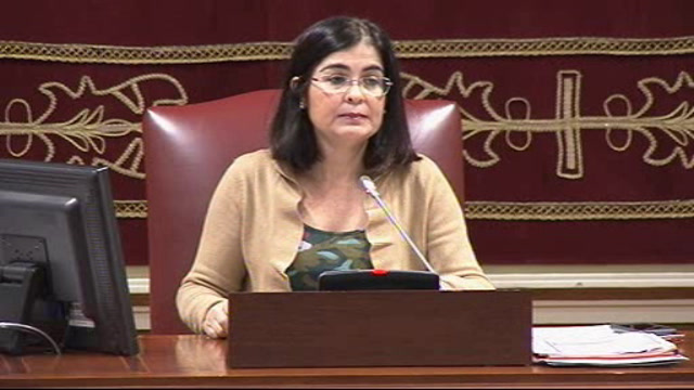 Pleno del Parlamento (continuación)