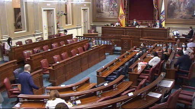 Pleno del Parlamento (continuación)