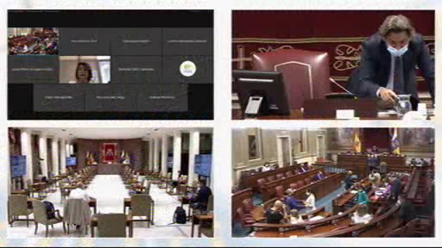 Pleno del Parlamento (continuación)