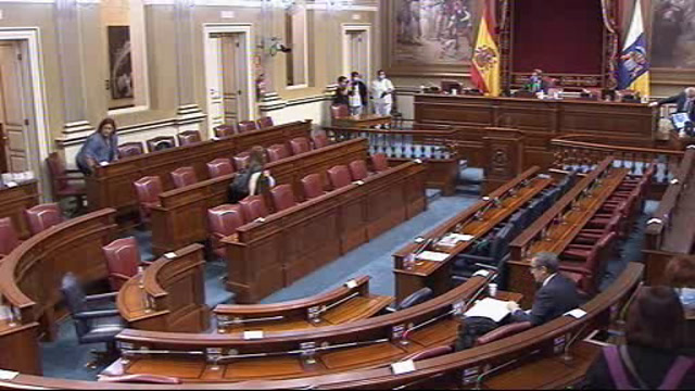 Pleno del Parlamento (continuación)