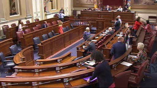 Pleno del Parlamento (continuación)