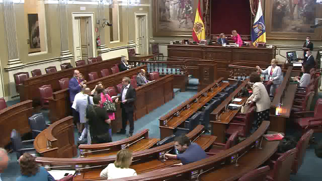 Pleno del Parlamento (continuación)