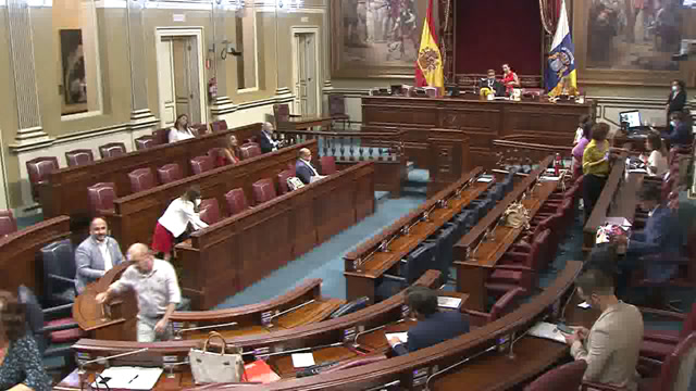 Pleno del Parlamento (continuación)