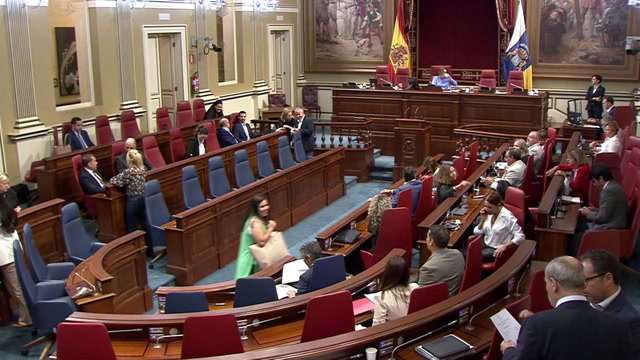 Pleno del Parlamento (continuación)