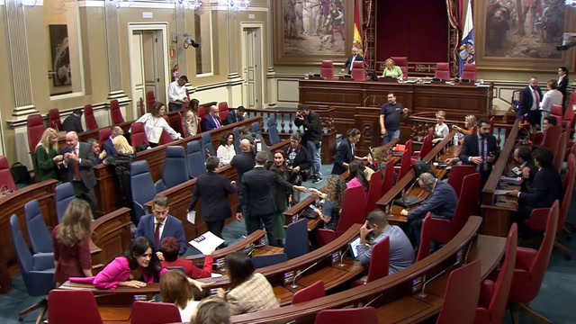 Pleno del Parlamento (continuación)