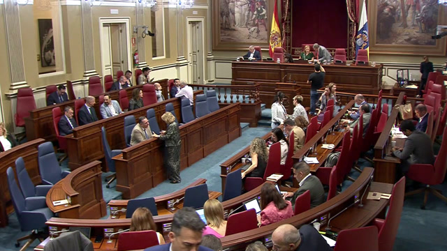 Pleno del Parlamento (continuación)